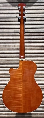 Yamaha - APX1000 NT 2